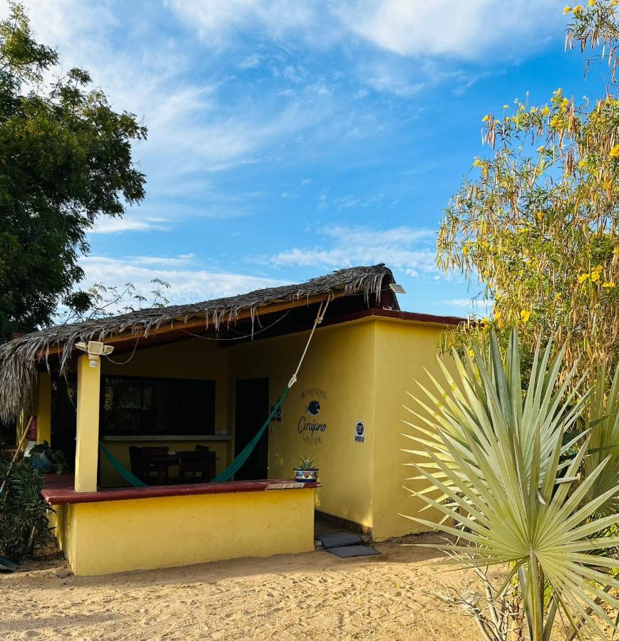 Апартаменти Bungalow Cirujano Cabo Pulmo Екстер'єр фото